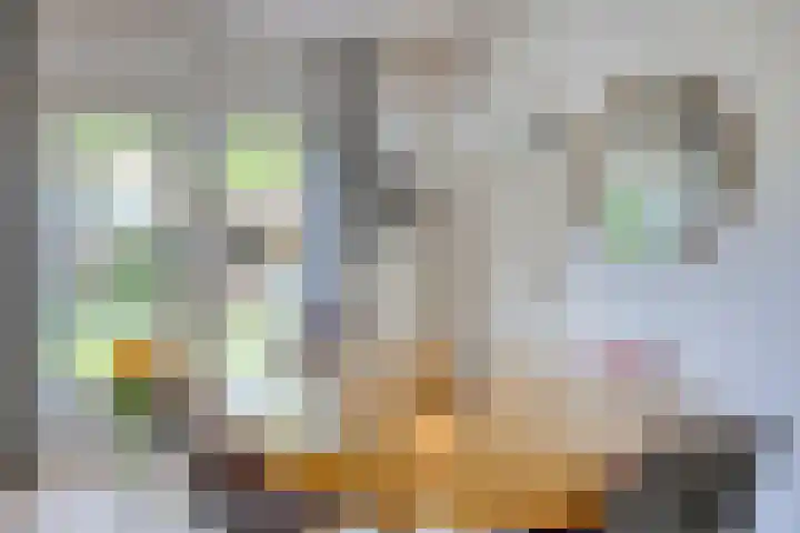 De Heide 11 Waalre thumbnail 13