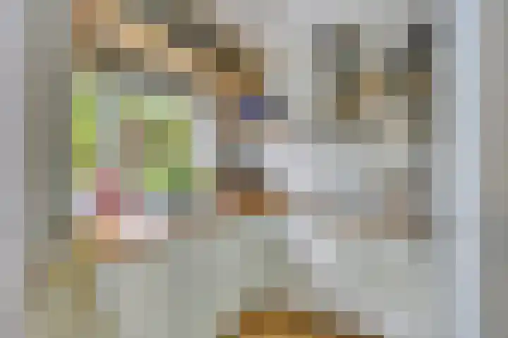 De Heide 11 Waalre thumbnail 15
