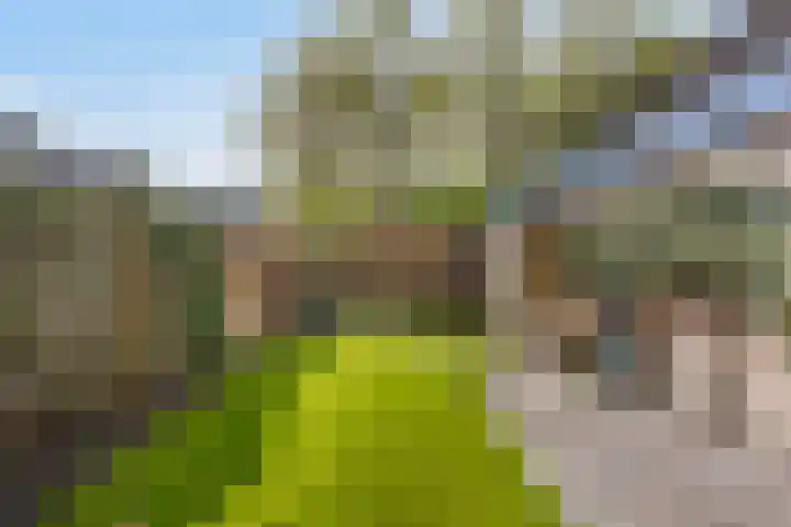 De Heide 11 Waalre thumbnail 22