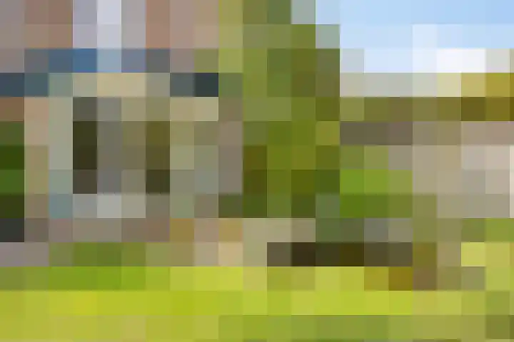 De Heide 11 Waalre thumbnail 24