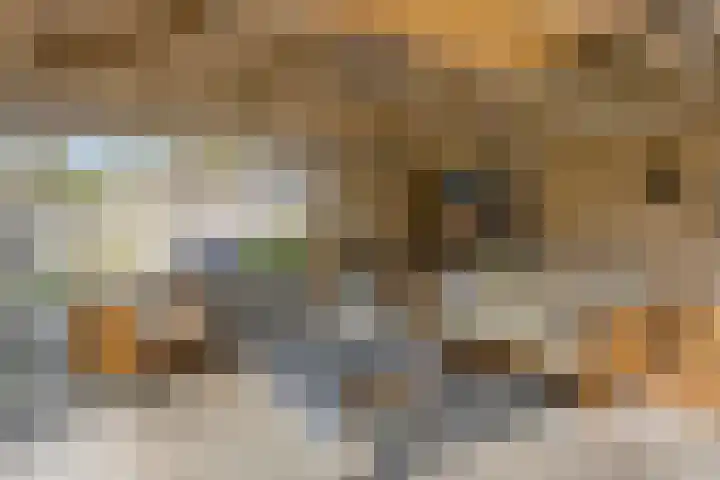 De Heide 11 Waalre thumbnail 27