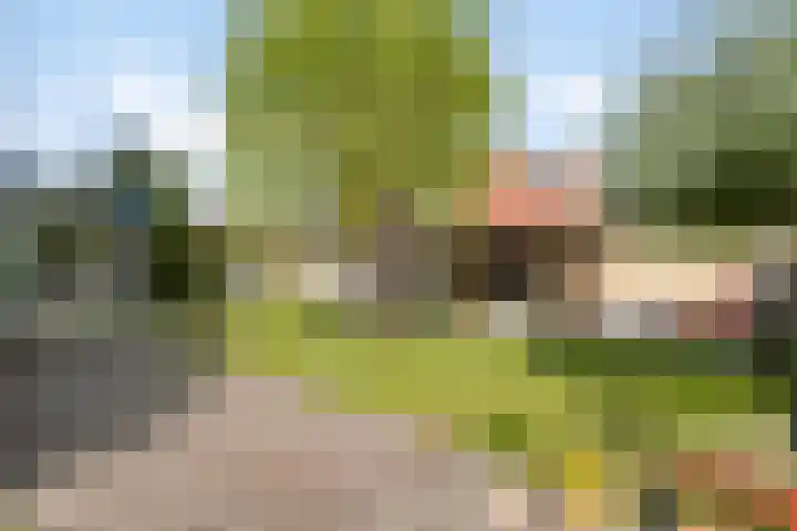 De Heide 11 Waalre foto 3