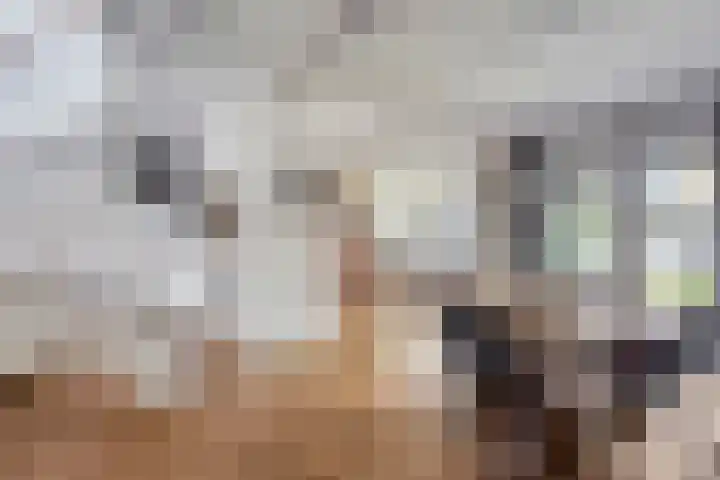 De Heide 11 Waalre thumbnail 4