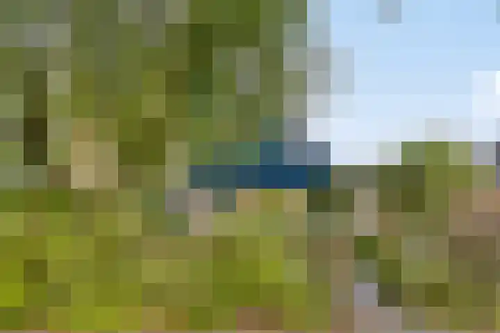 De Heide 11 Waalre thumbnail 6