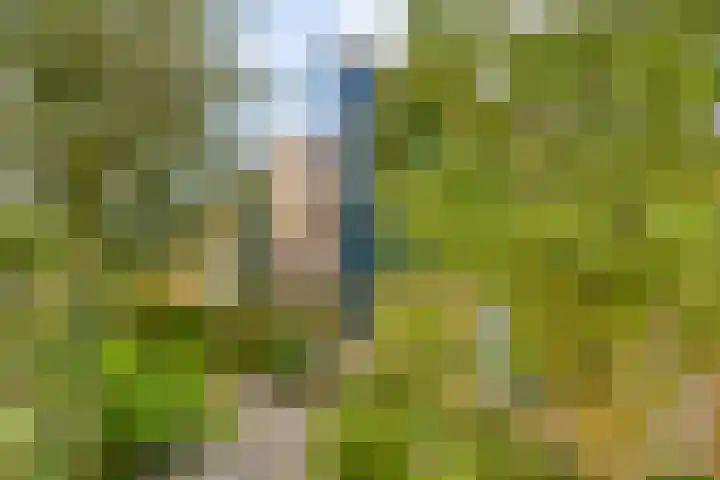 De Heide 11 Waalre thumbnail 7