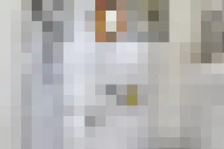 De Heide 11 Waalre thumbnail 8