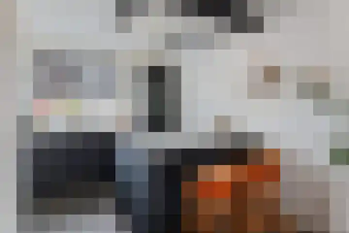 De Heide 3 Lemelerveld thumbnail 11