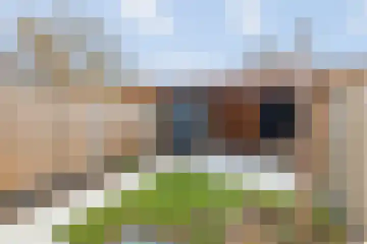 De Heide 3 Lemelerveld thumbnail 25