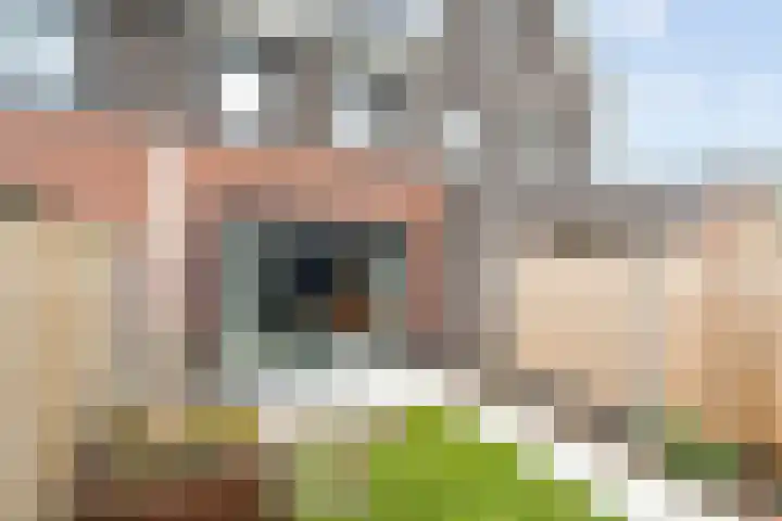 De Heide 3 Lemelerveld thumbnail 27