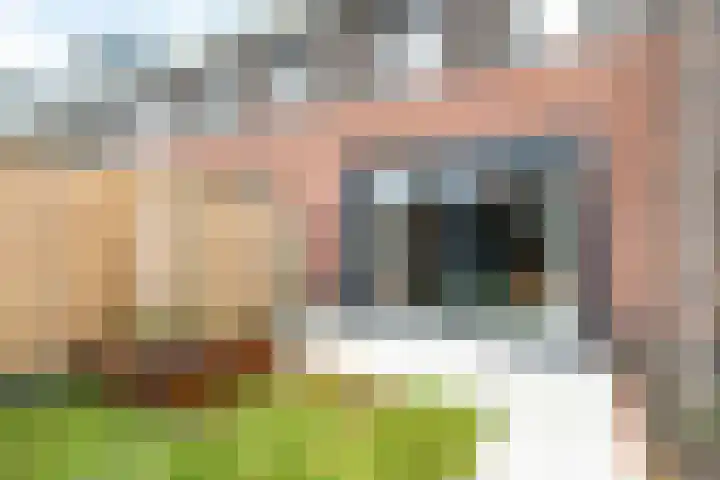De Heide 3 Lemelerveld thumbnail 5