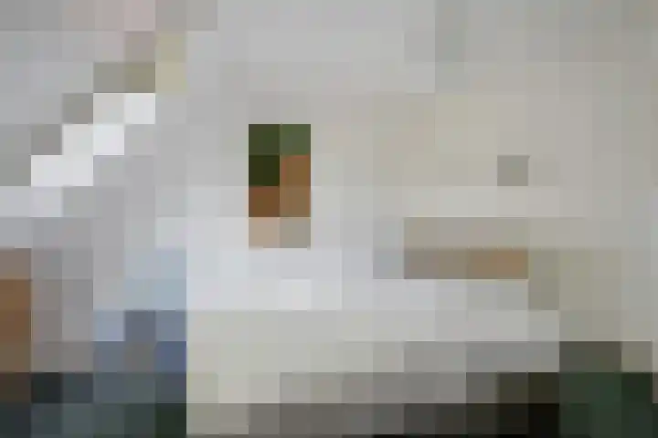De Heide 4 De Wilgen thumbnail 24