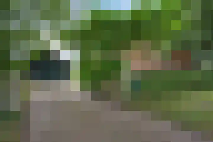 De Heide 4 De Wilgen thumbnail 36