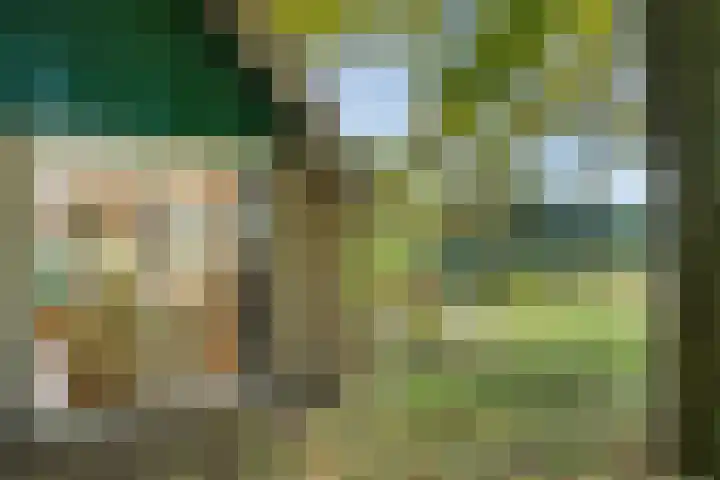 De Heide 4 De Wilgen thumbnail 39