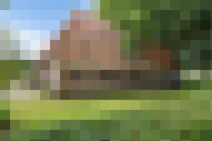 De Heide 4 De Wilgen thumbnail 4