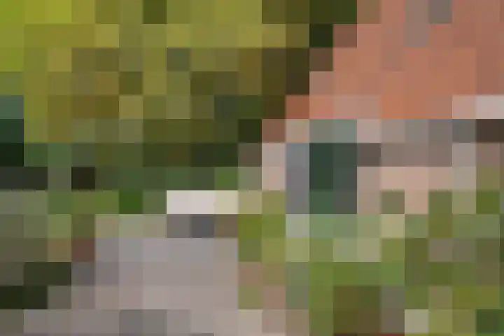 De Heide 4 De Wilgen thumbnail 40