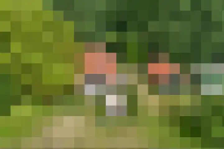 De Heide 4 De Wilgen thumbnail 48