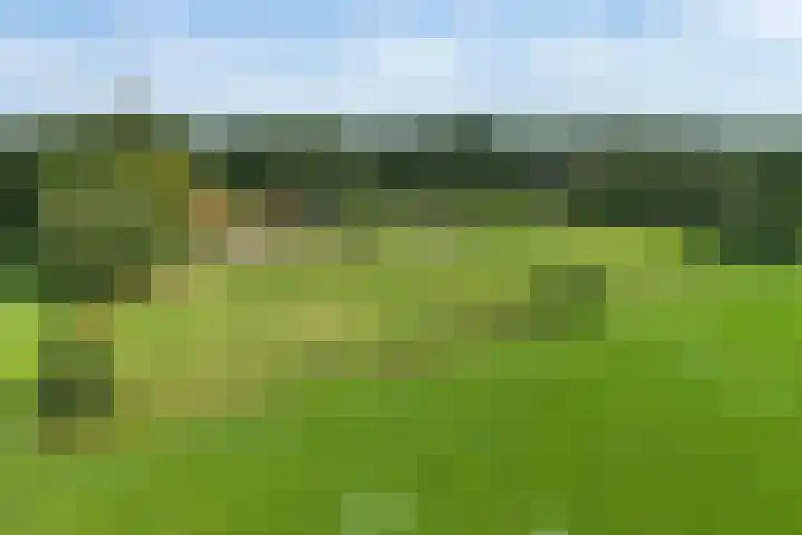 De Heide 4 De Wilgen thumbnail 49