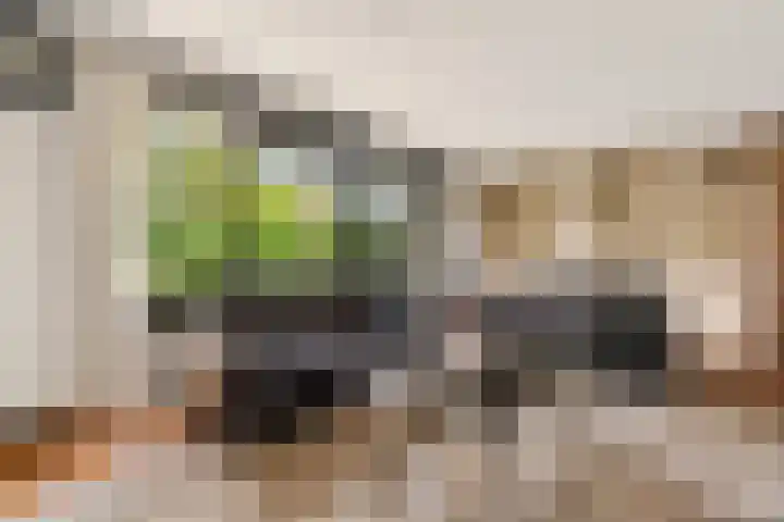 De Heie 3 Delden thumbnail 13
