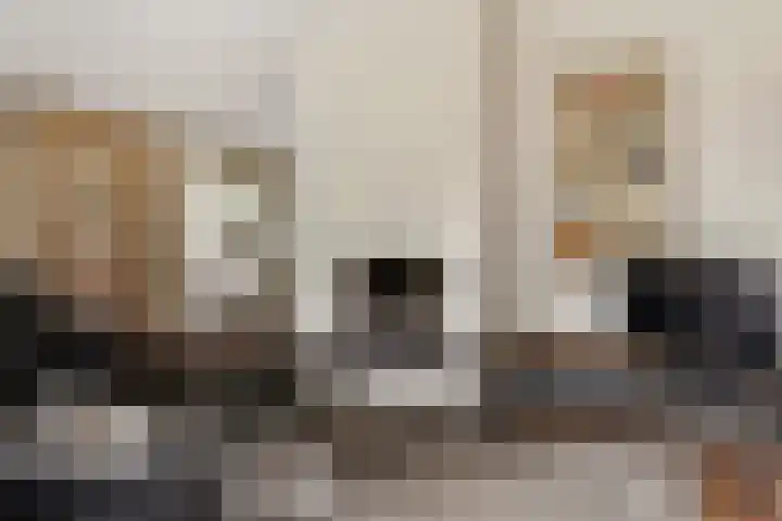 De Heie 3 Delden thumbnail 14