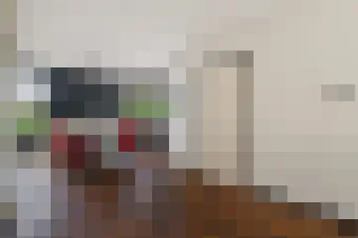 De Heie 3 Delden thumbnail 18