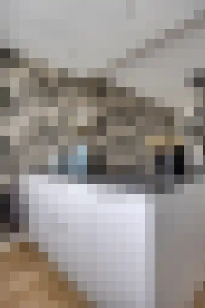 De Heie 3 Delden thumbnail 20
