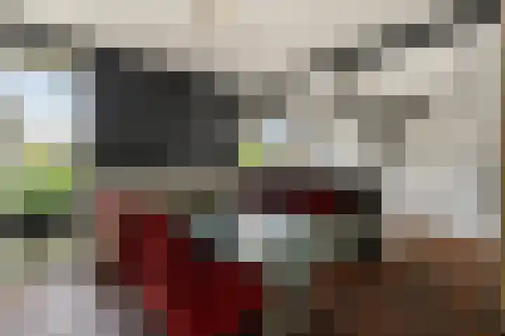 De Heie 3 Delden thumbnail 21