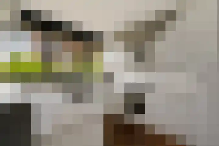 De Heie 3 Delden thumbnail 23