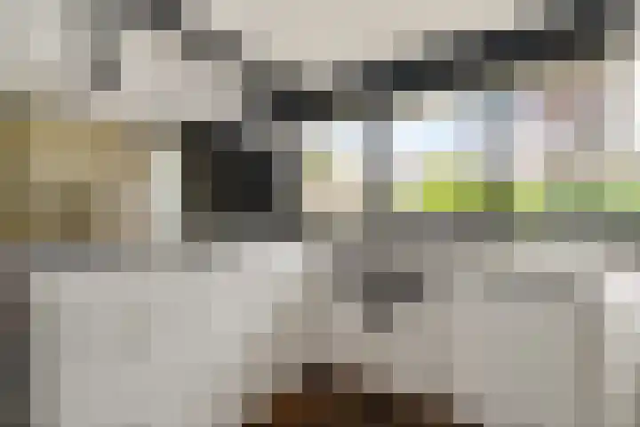 De Heie 3 Delden thumbnail 24