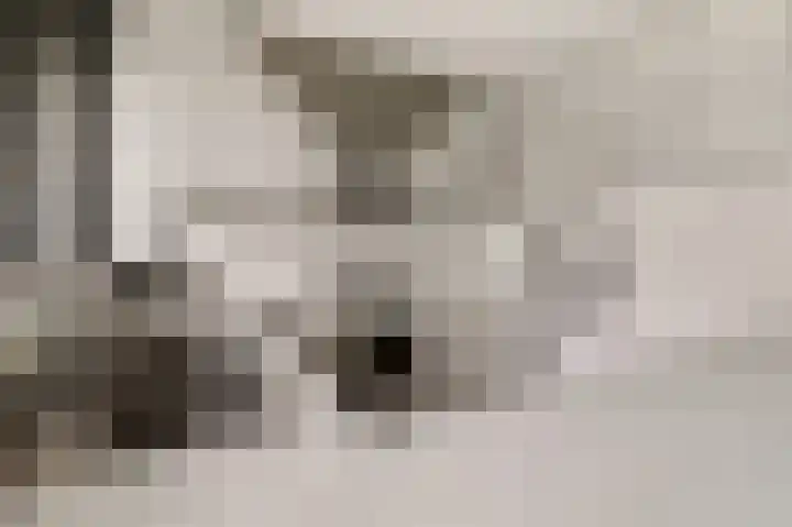 De Heie 3 Delden thumbnail 25