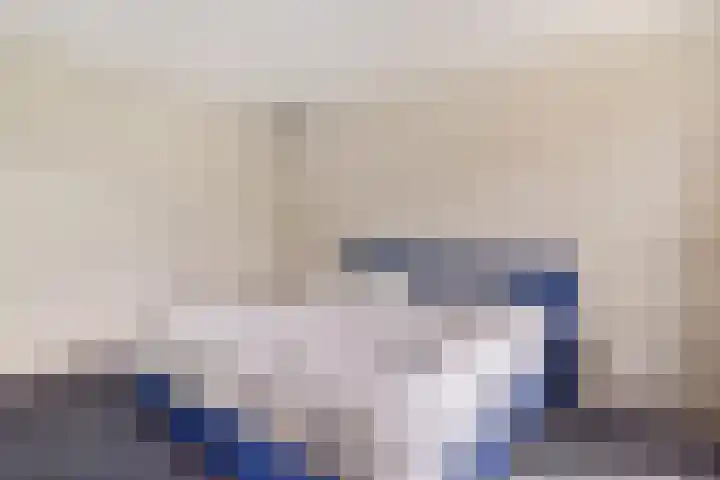 De Heie 3 Delden thumbnail 29