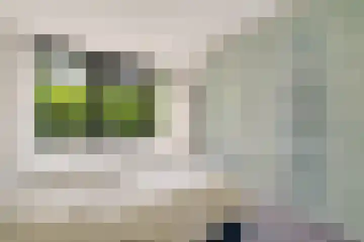 De Heie 3 Delden thumbnail 31