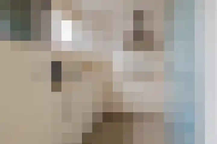 De Heie 3 Delden thumbnail 38