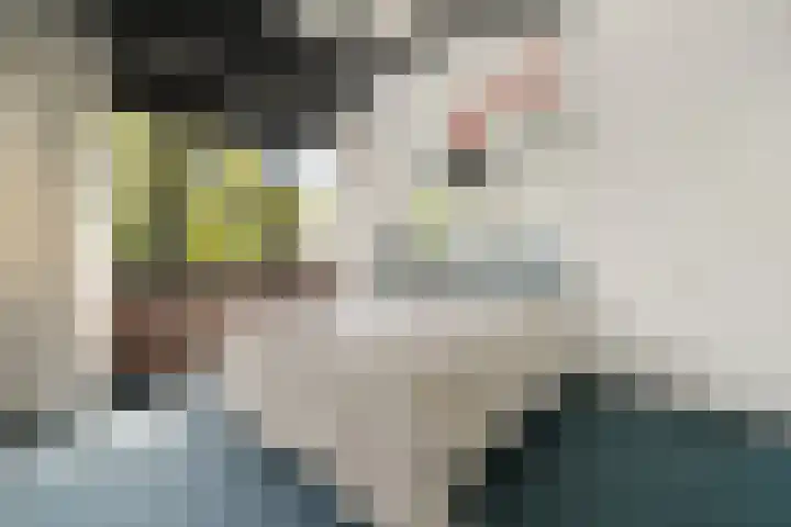 De Heie 3 Delden thumbnail 44