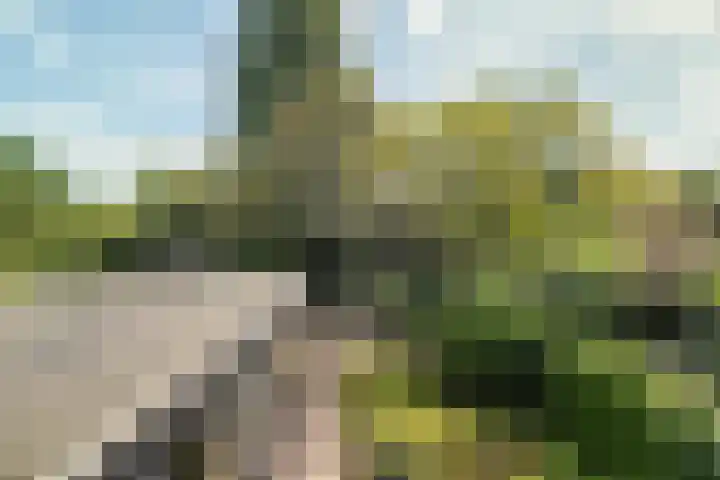De Heie 3 Delden thumbnail 48