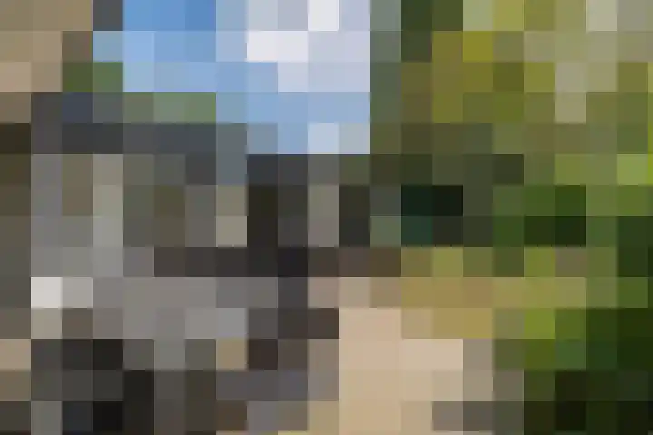 De Heie 3 Delden thumbnail 49