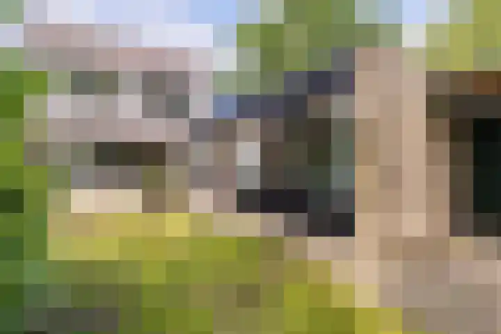 De Heie 3 Delden thumbnail 5