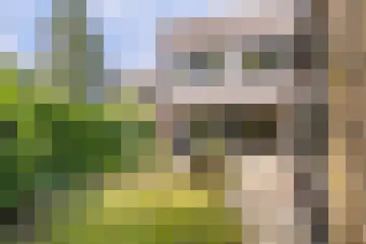 De Heie 3 Delden thumbnail 50