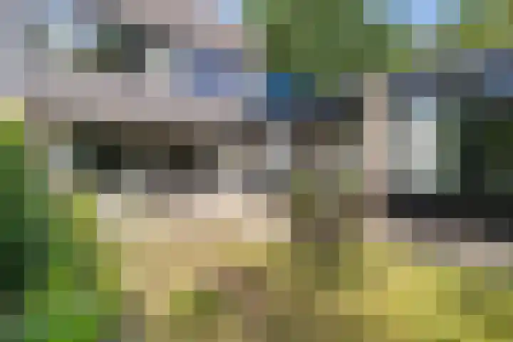 De Heie 3 Delden thumbnail 52
