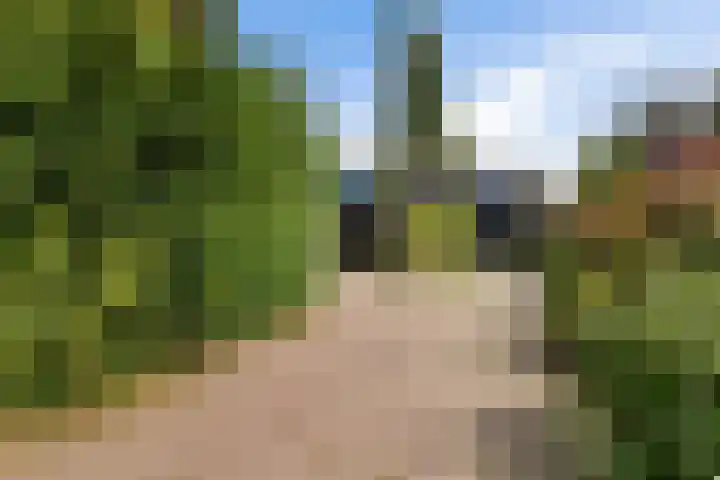 De Heie 3 Delden thumbnail 54