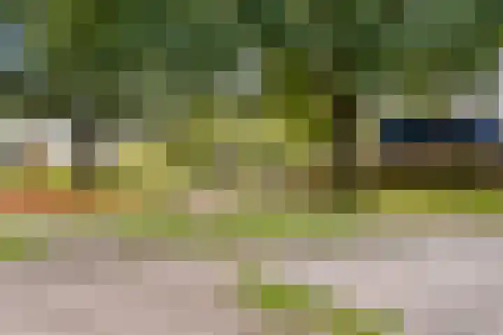 De Heie 3 Delden thumbnail 55