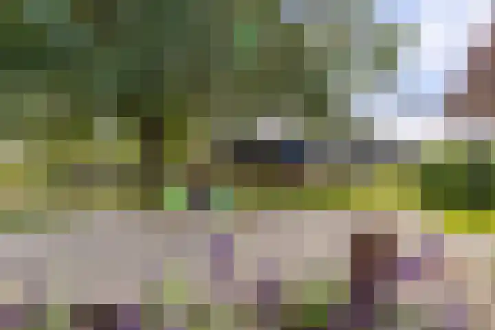 De Heie 3 Delden thumbnail 56