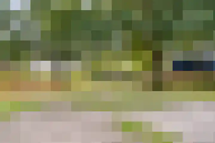De Heie 3 Delden thumbnail 57