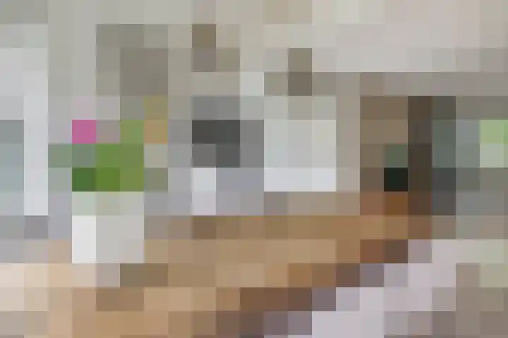 De Heijbloem 8 Nuenen thumbnail 15
