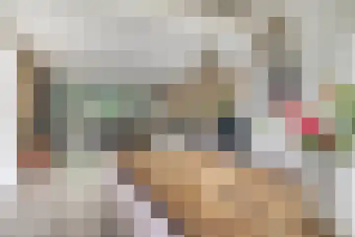 De Heijbloem 8 Nuenen thumbnail 16