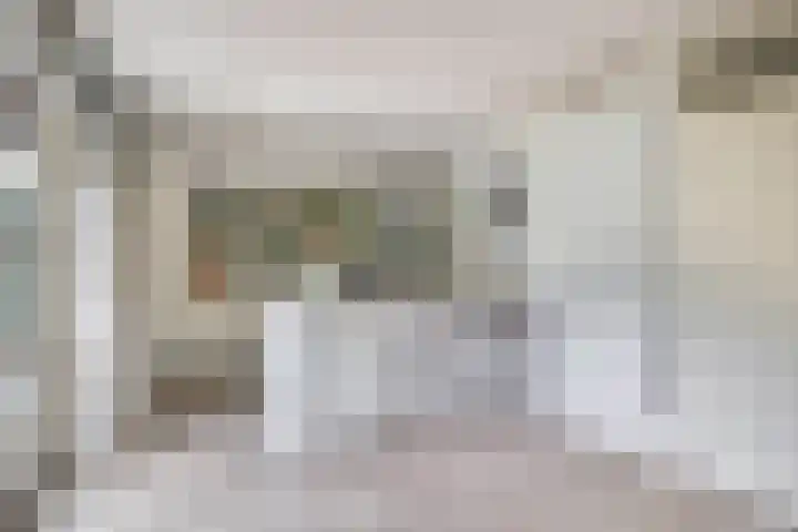 De Heijbloem 8 Nuenen thumbnail 18