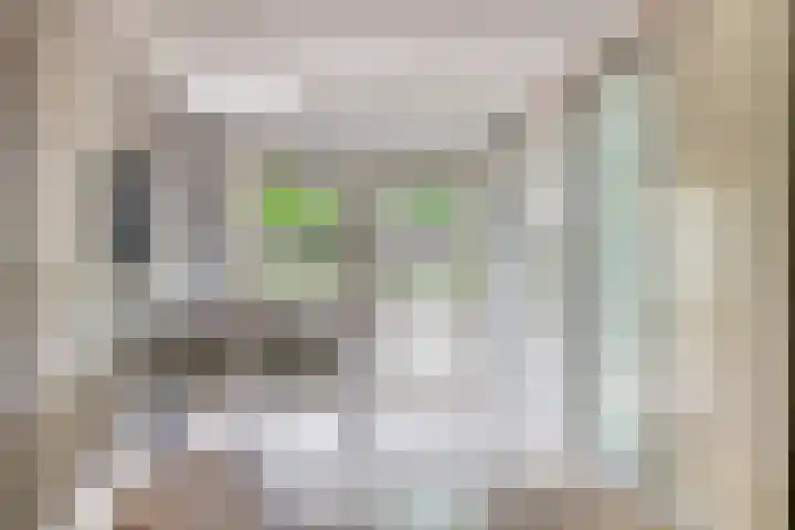 De Heijbloem 8 Nuenen thumbnail 22
