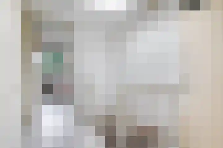 De Heijbloem 8 Nuenen thumbnail 23