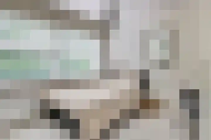 De Heijbloem 8 Nuenen thumbnail 27