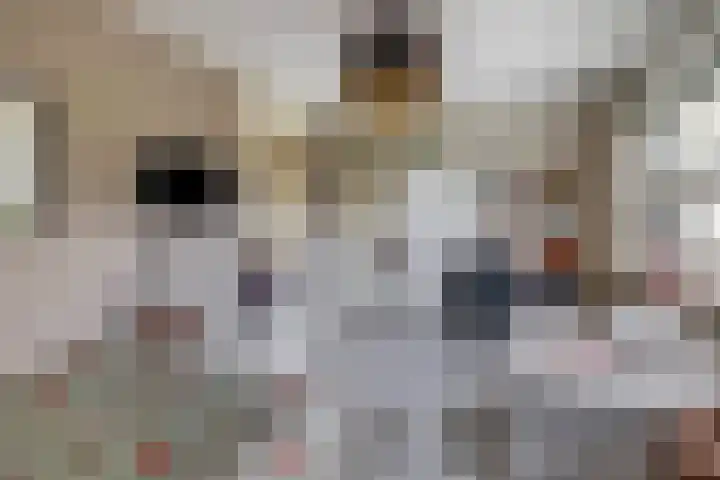 De Heijbloem 8 Nuenen thumbnail 30