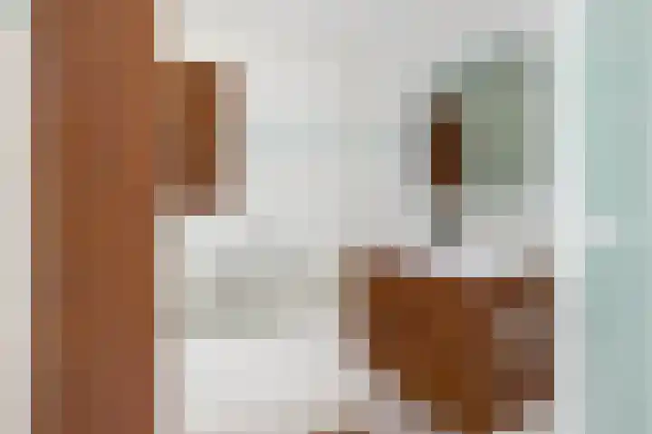 De Heijbloem 8 Nuenen thumbnail 31